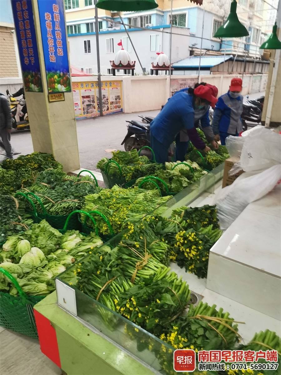 广西南宁青菜市场图片