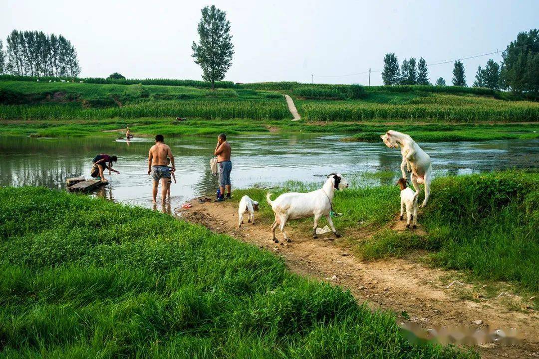 潘付堂摄影作品赏析【村头小河边】