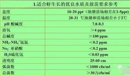 致富经养虾_致富经室内养虾视频_致富经淡水虾养殖视频