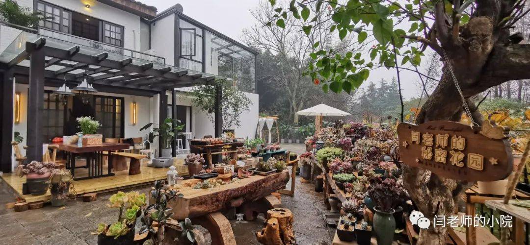 我在闫老师的小院等你