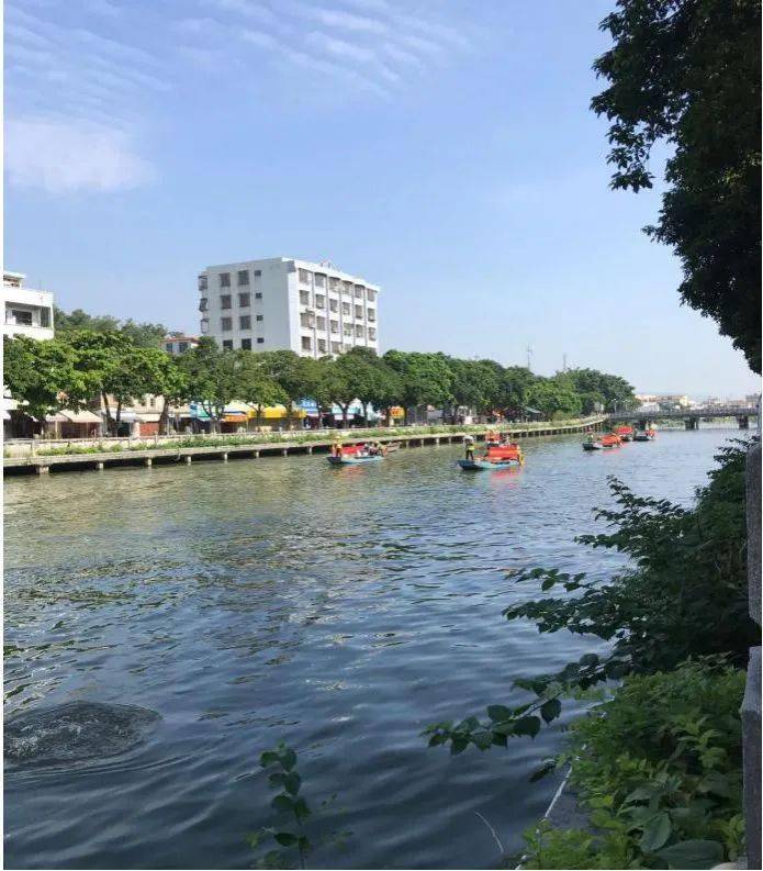年度水环境改善位居全市第一!坦洲接下来这么干