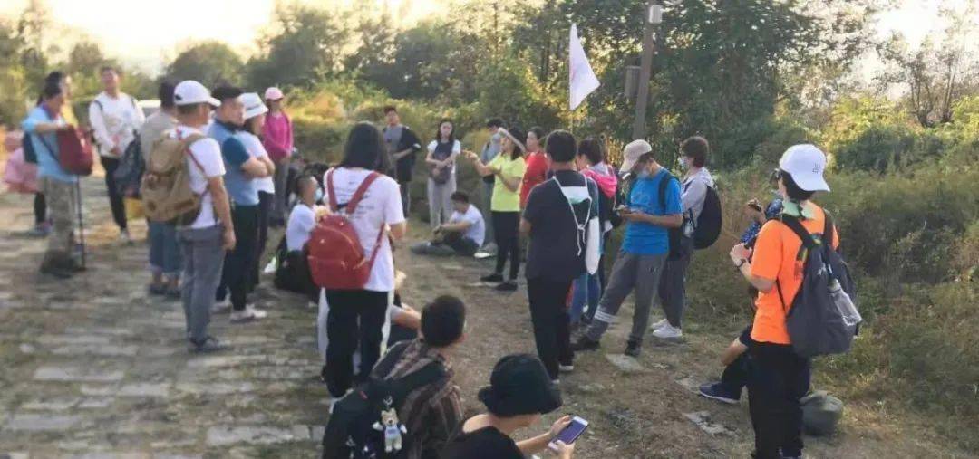 导游猜一成语是什么_山西:一位资深导游疫情下的忙碌生活