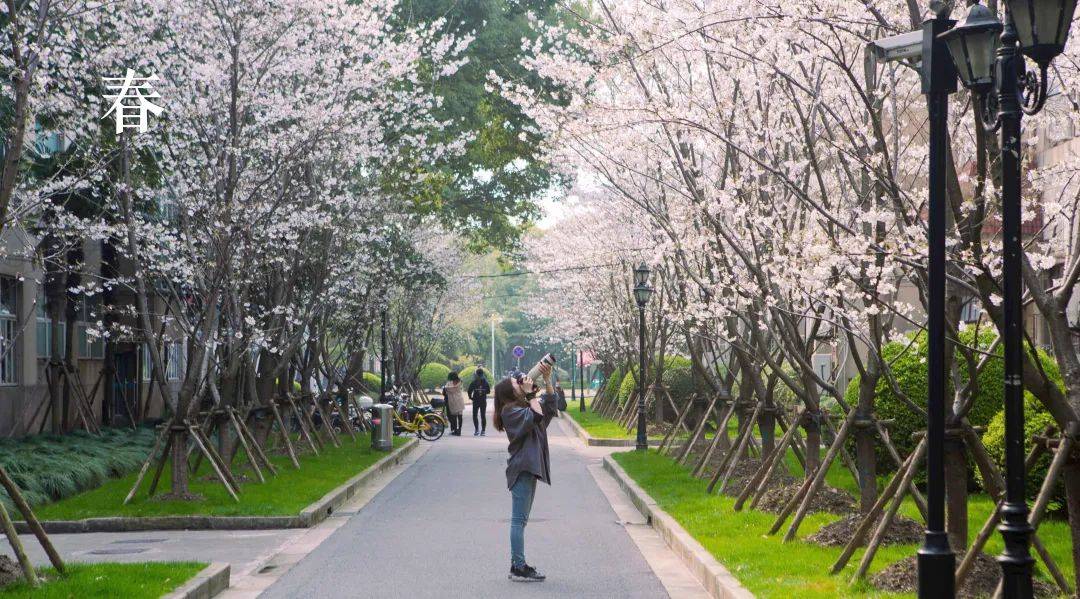 校友們是否開始懷念這校園美景?撒花~上海財經大學再次榜上有名!