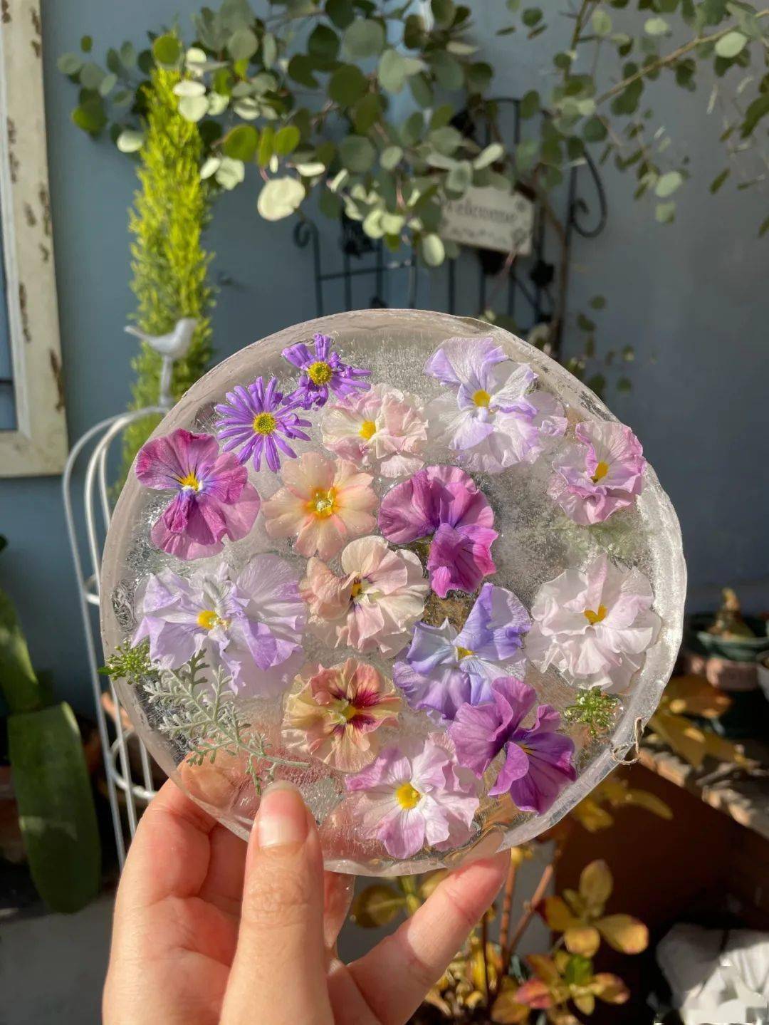 冻冰花美上热搜600万人都在看教程给你快带娃玩起来