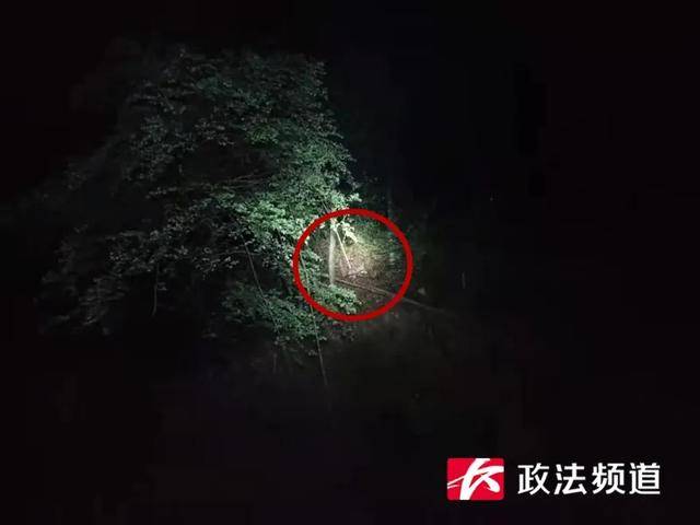 28只羊离奇失踪有9只内脏被掏空 养殖户彻夜蹲守看见神秘生物（图）