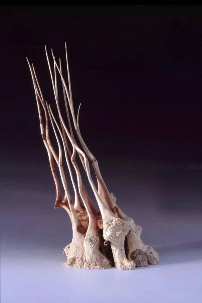 普罗旺斯艺术家丨alainmailland赋予大自然灵魂的创意木雕美到窒息