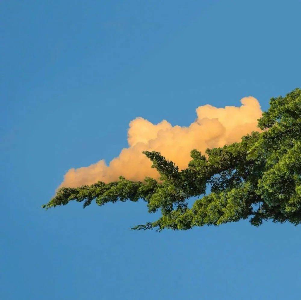 朋友圈背景图