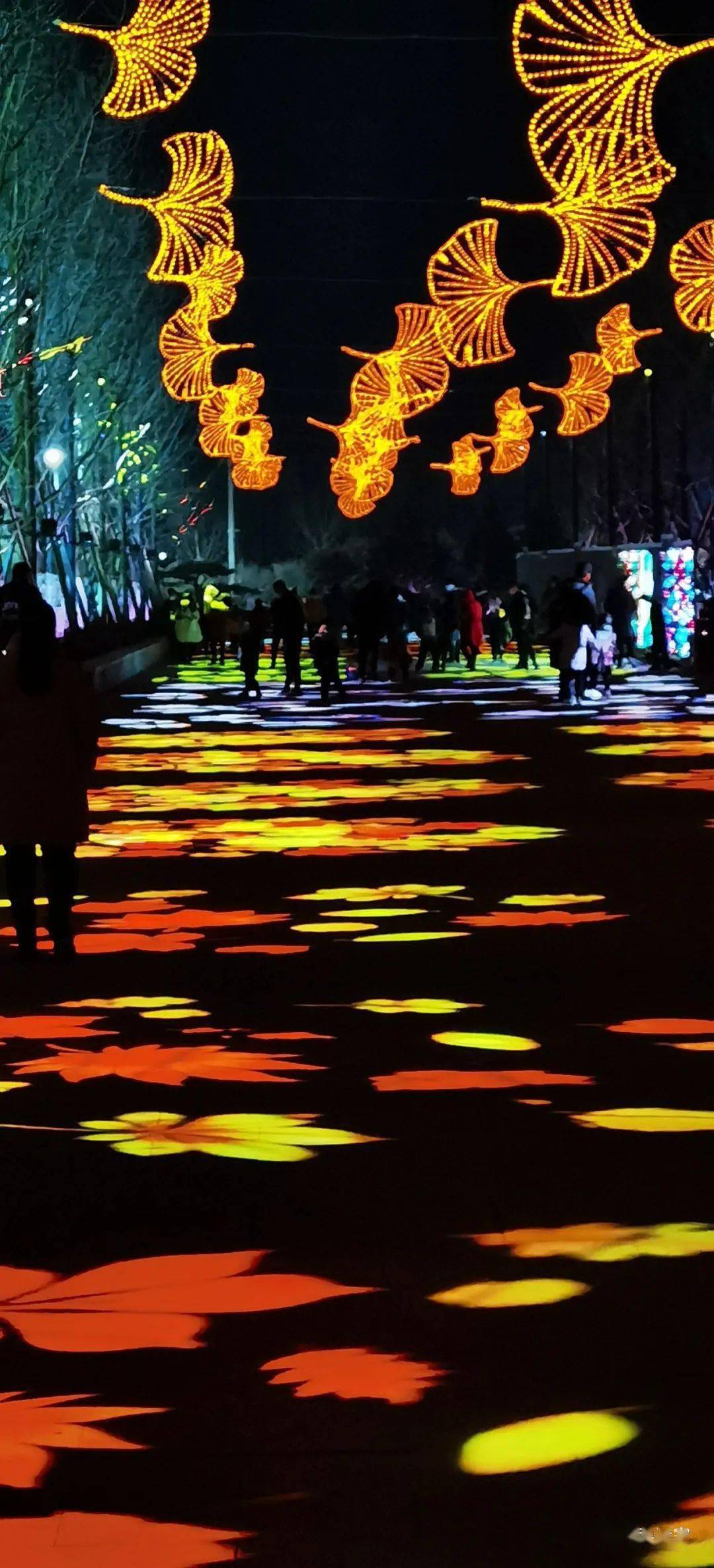 原创这一处新建好的灯光秀花样新规模大品种多又成为了网红打卡地