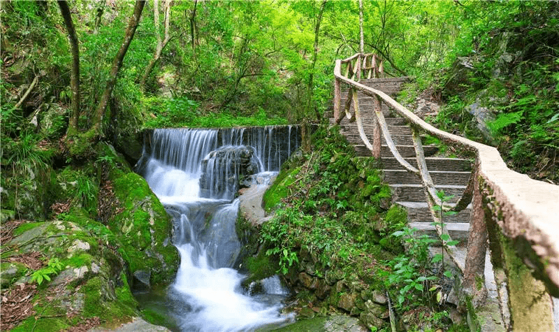 年在建发山外山!一起解锁春节度假新姿势!