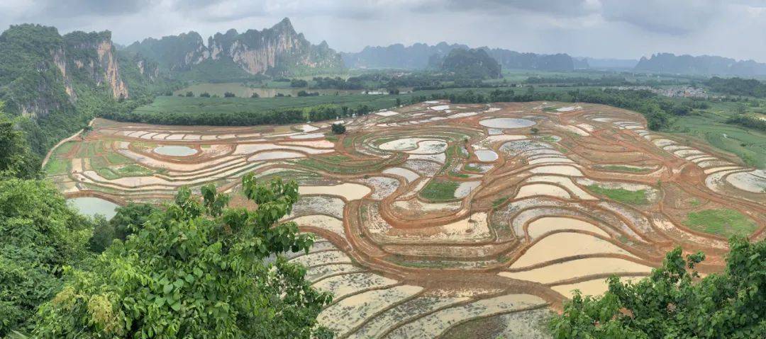 貧地變良田農民心裡甜崇左市龍州縣對根村屯進行土地質量提升項目整治