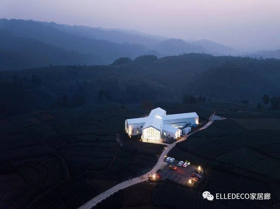 打卡地址:上海市莫干山路50號m50創意園3號樓103室