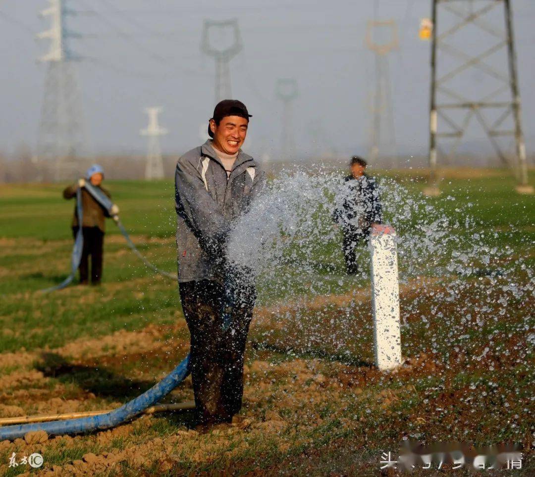 乡村冬日农事 越冬小麦施肥保墒正当时_灌溉