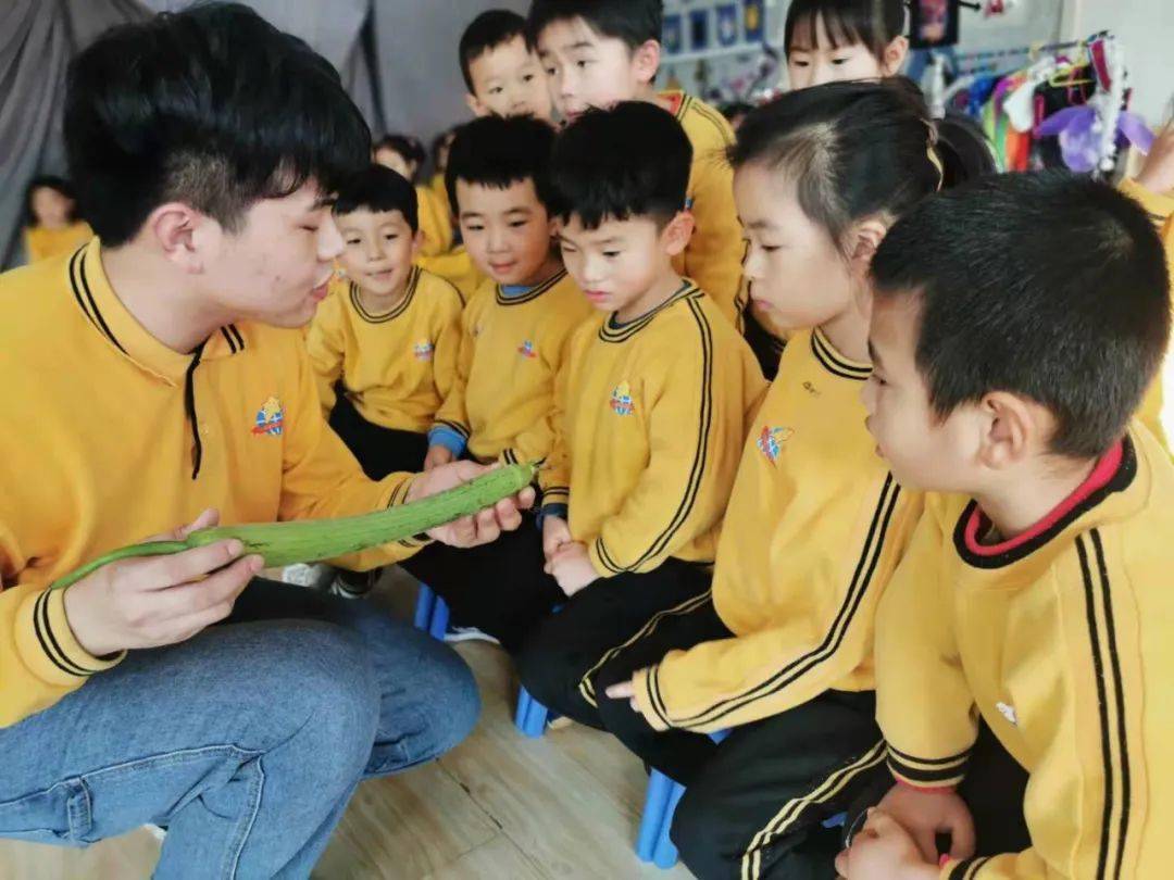 北京市朝阳区京旺小金星幼儿园大班探究活动丝瓜爱逞强