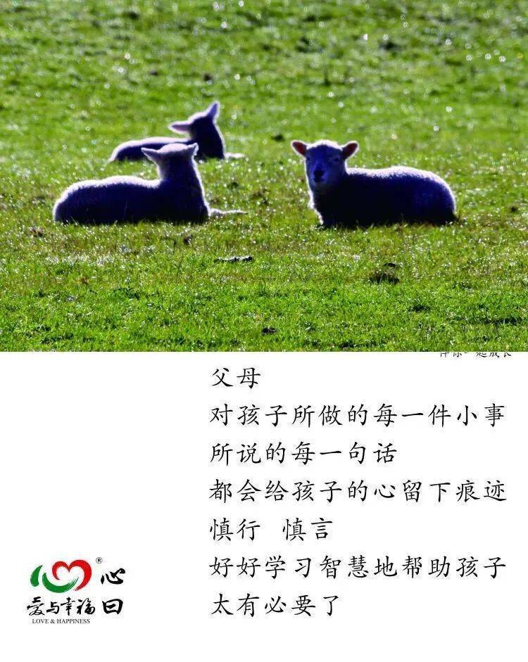 要从心底真正地信任孩子