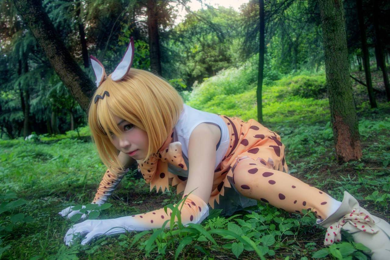 兽娘动物园 薮猫cosplay_po
