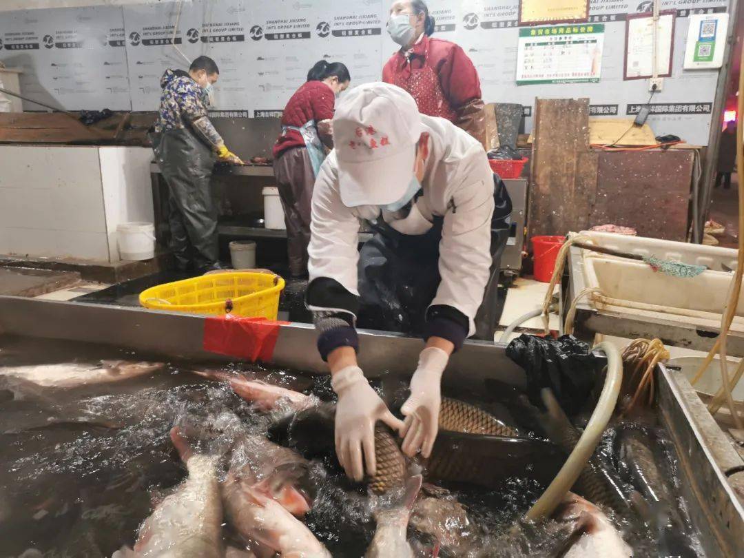 实拍清晨七点的荆门菜市场藏着你不知道的人间美味