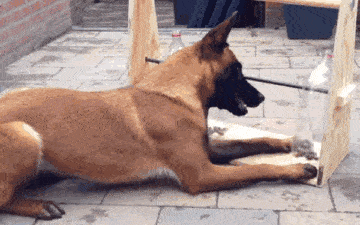 1795f076f50942e1bc6949a70be05805.gif