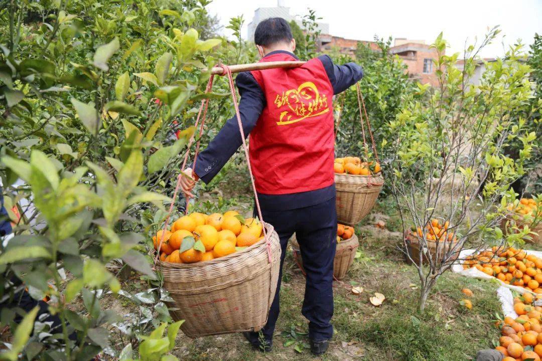 2021年钦州市区人口_钦州市区图片
