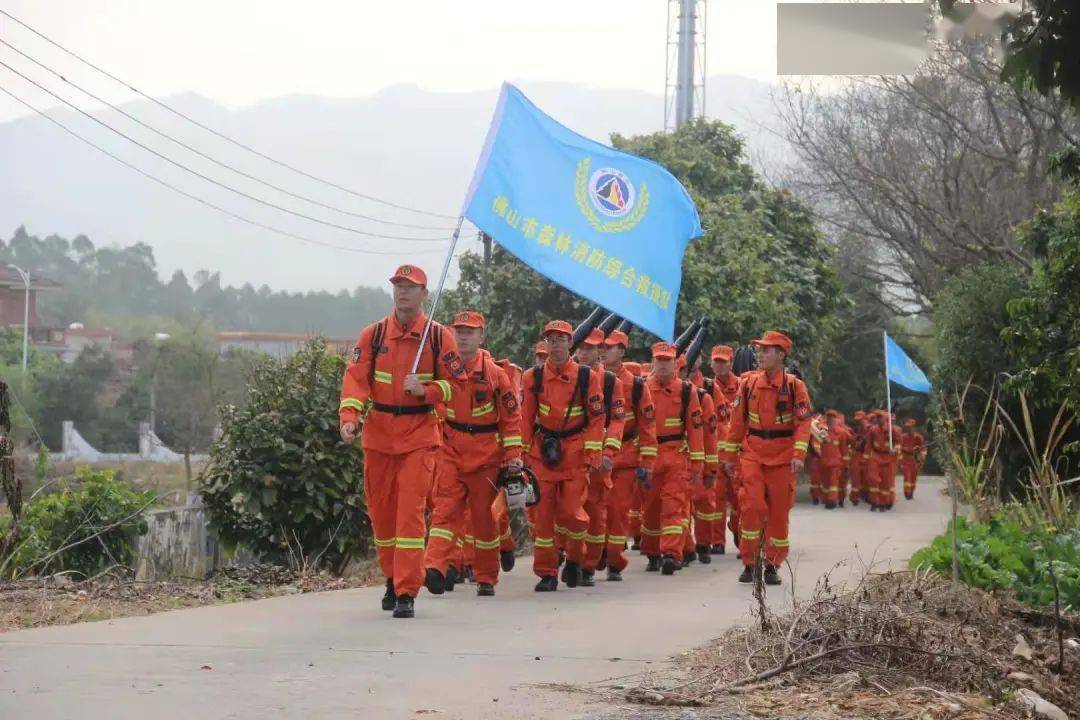 佛山市森林消防综合救援队开展春节森林防火专项行动