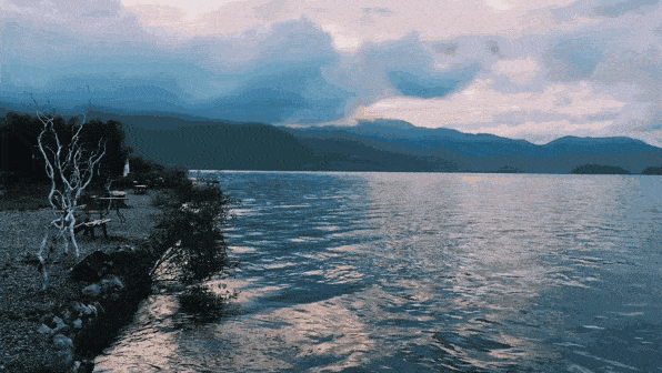 2b45a5a59ec141c483ba5427d99b0530.gif
