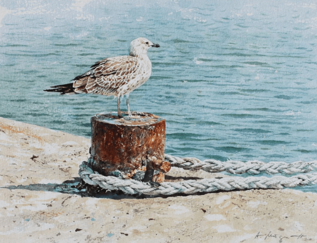 保加利亚水彩画家atanasmatsoureff作品欣赏礁石海岸