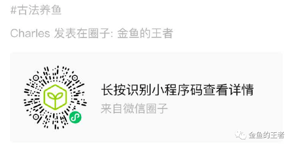 喂金鱼最好的活饵，没有之一