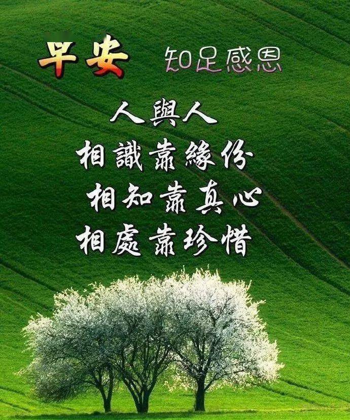 清晨早安祝福動態圖片帶字新版早上好鮮花動畫圖片