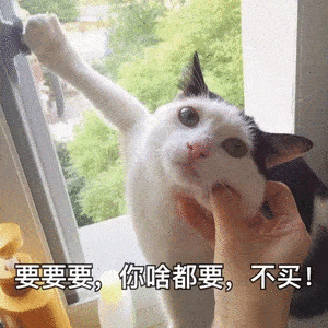 92df24d8a4314c45a1bb1e59b4ab706c.gif