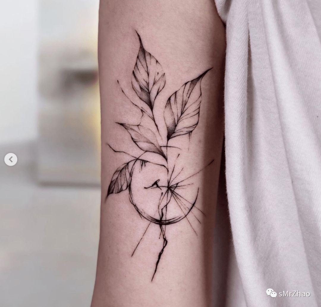 smrzhao纹身推荐第269期黑白线条水滴飞溅静物设计感纹身