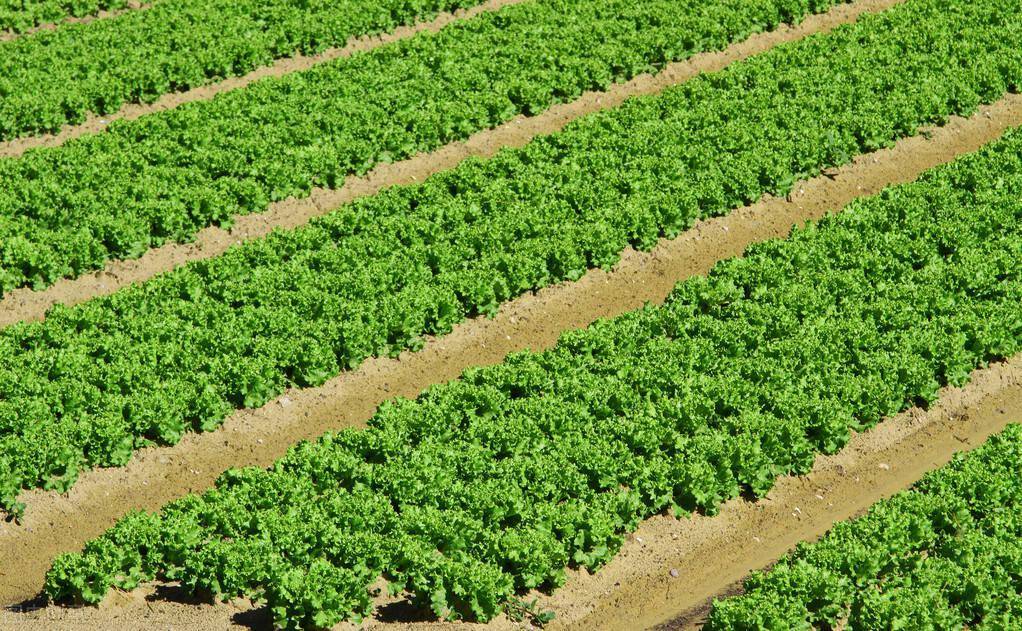 铁山港区2020年GDP_2020-2021跨年图片