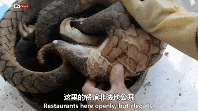 400_225gif 动态图 动图
