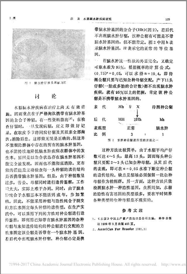 水貂脑水肿疾病大头病研究