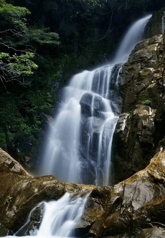 新一轮全国文明城市提名城市名单出炉!平江入选!_美景