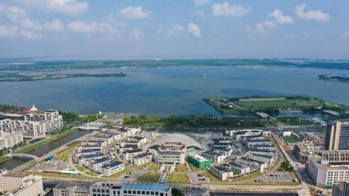 上海自贸区经济总量_上海自贸区片区划分图(2)