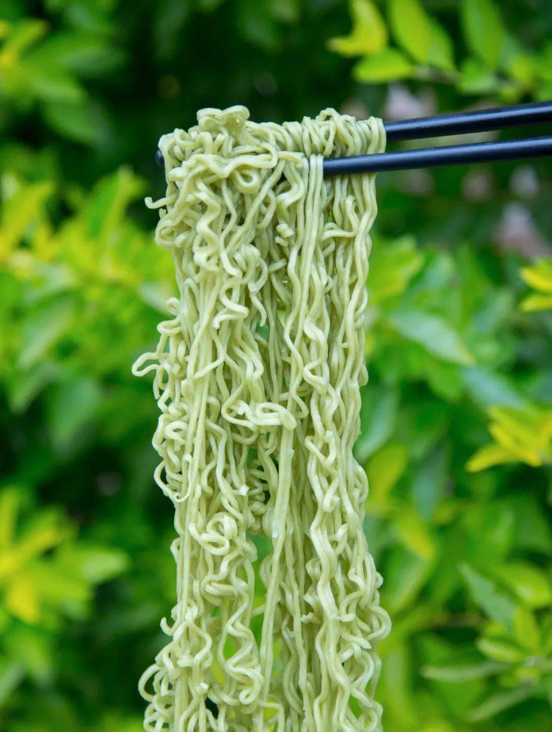 珍珠菜还能做成面啊!葵潭这家公司的真珠面,支持外送哟