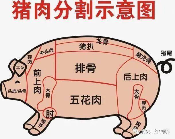怎样挑选猪肉部位图解 565c7c94684940f2b7186cd86d362a24.jpeg