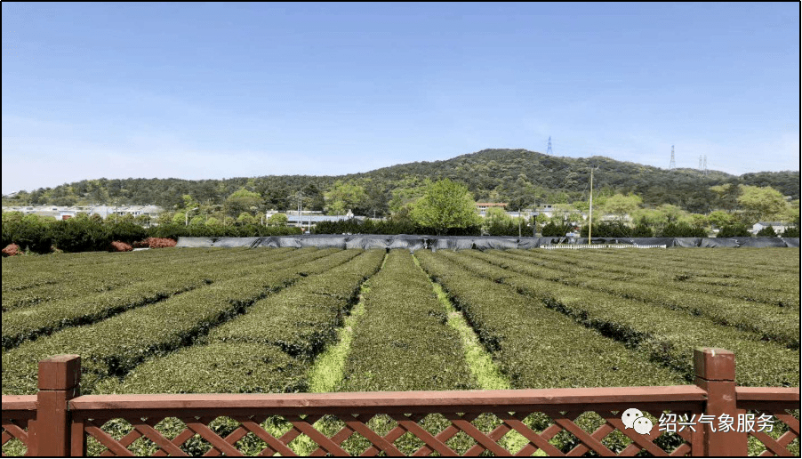 绍兴越城区鉴湖街道GDP_绍兴越城区图片(3)