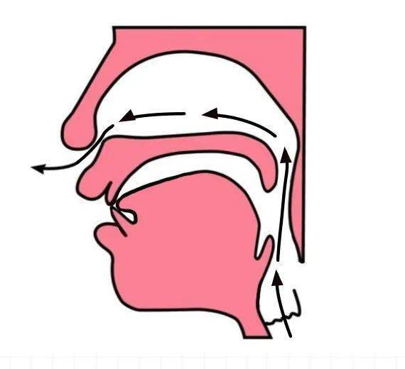 *需要注意的是,这个声母在发音即将结束时,舌尖微微地离开上牙龈,让