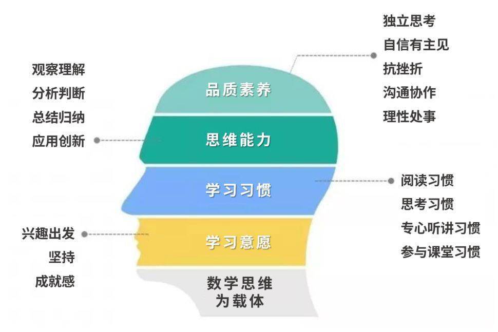 得培力怎么搭_培菌柱怎么摆放(2)