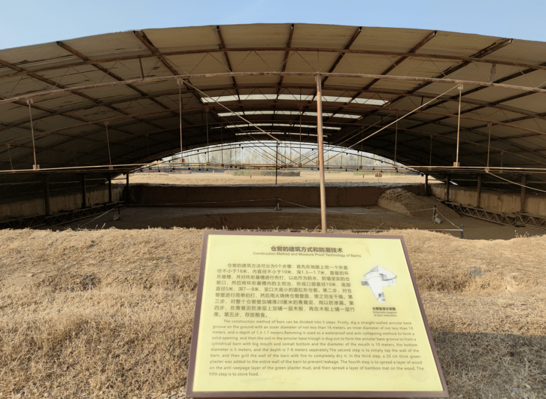 【东方博物馆之都】古代“国家粮仓”里都有啥？洛阳这个博物馆里有答案-搜狐大视野-搜狐新闻
