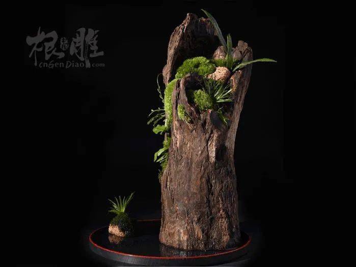 破缸瓦罐老石头,养盆景太美了吧!