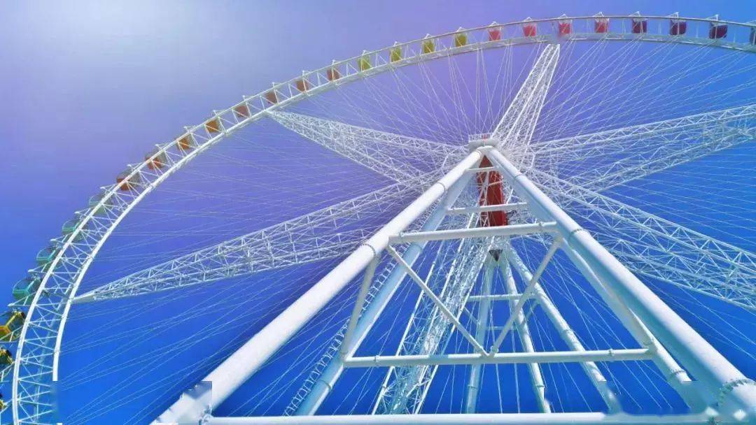 海洋大世界图片 51810105c8fa405a9bf00ec58ed6b174.jpeg