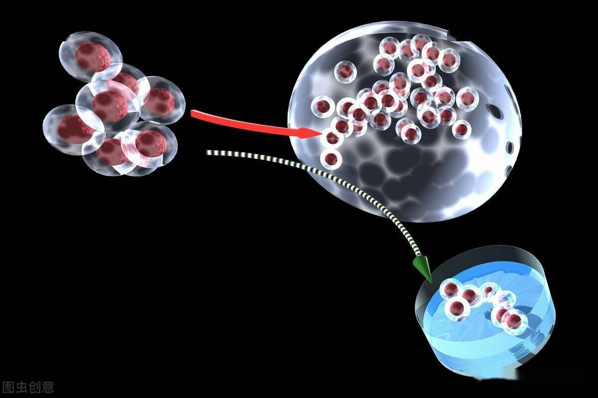 science子刊逆转衰老新武器脐带间充质干细胞外囊泡