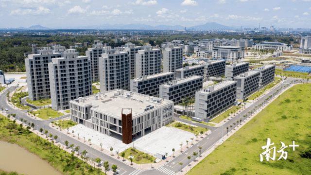 广东石油化工学院是本科还是专科 e52b352536584221ae108efca35561c6.png