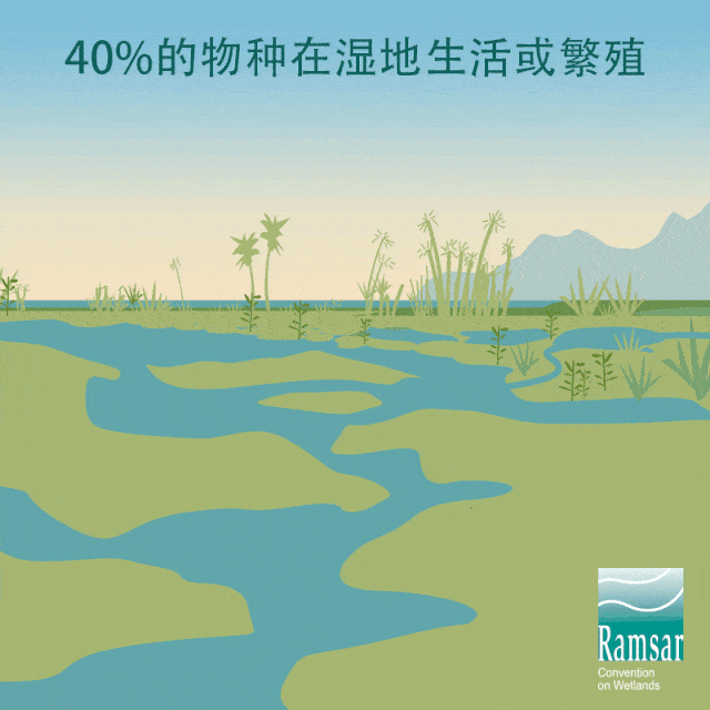 图源中国国家地理盆锦湿地 | 中国最大的湿地自然保护区人工湿地:鱼塘