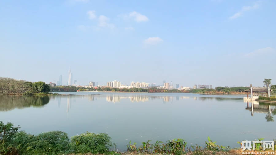 藏在城市中央“会呼吸的水”！世界湿地日“打卡”广州海珠湖