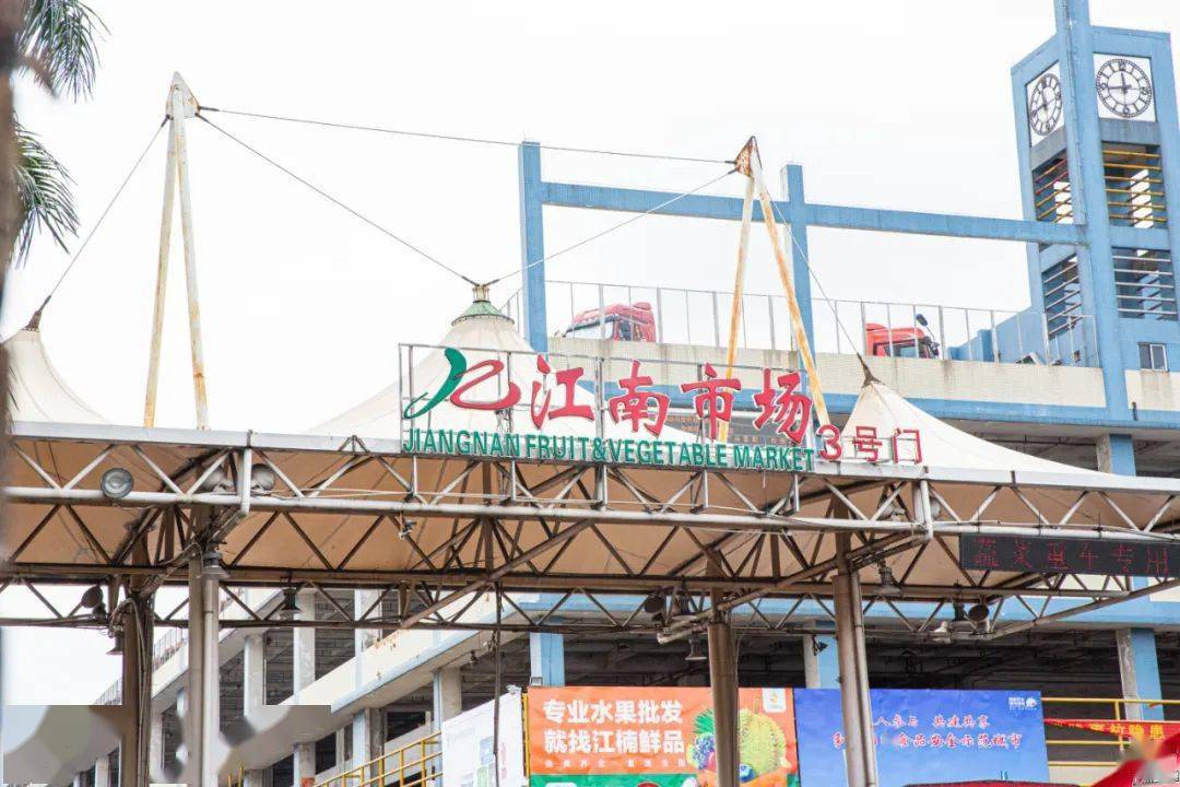 200块10斤广州这个市场天天有人抢车厘子