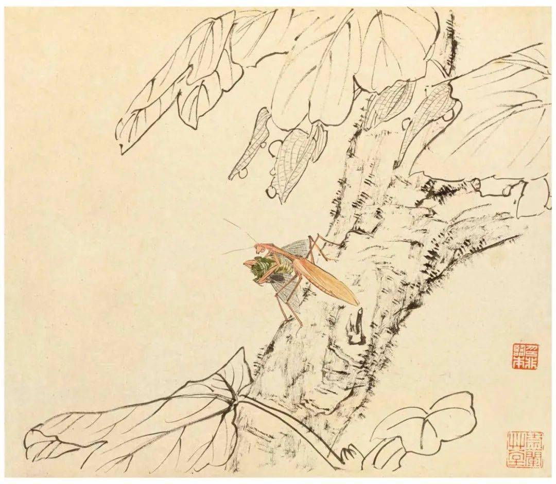 陆抑非白描花鸟课徒稿(53图)