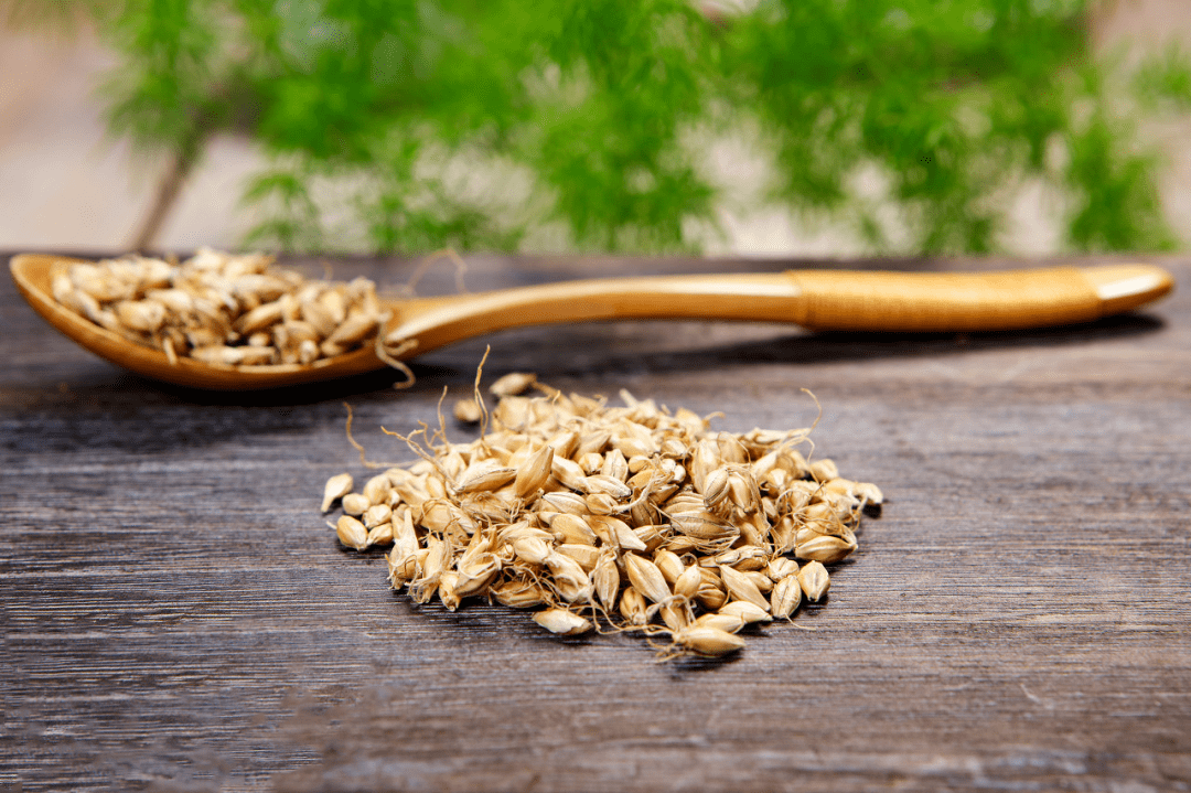 疏肝理气,有一味中药很管用!