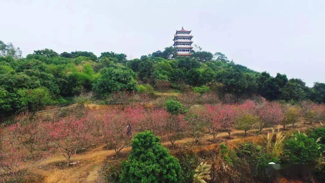 导航地址:石水口公园(东莞市桥头镇石水口村沙田一街8号)07桥头墟